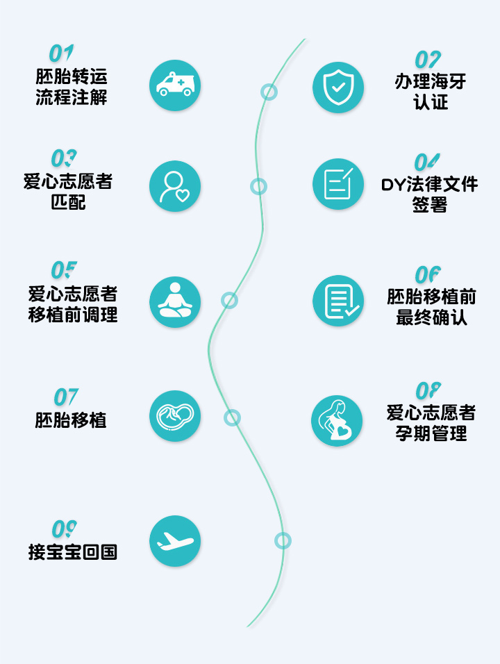 冷冻胚胎转运服务流程