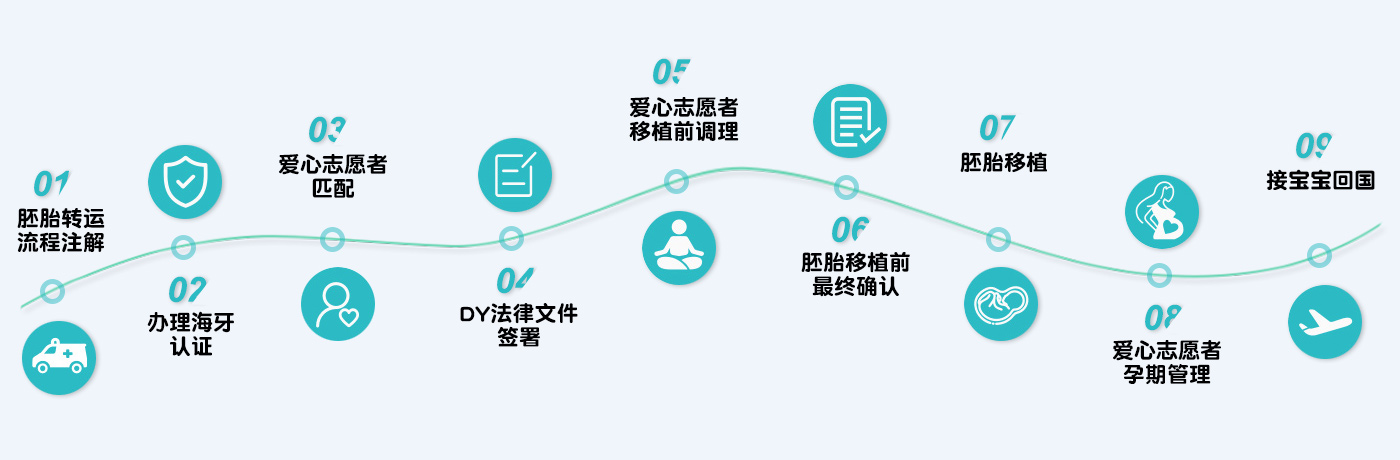 冷冻胚胎转运服务流程