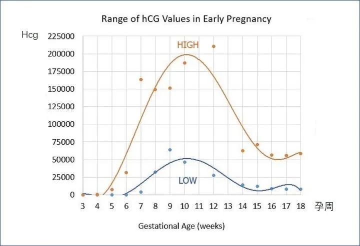 hCG、孕酮、雌二醇低就会胎停、流产？保胎到底看哪个？