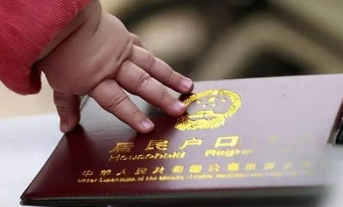 单身求子不迷茫！得儿达 DELTA 医院试管圆梦，滔滔顾问护航流程解析