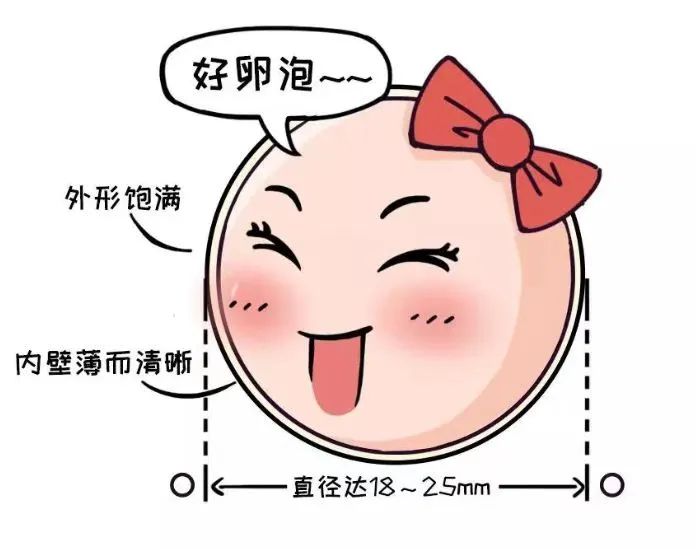 改善卵子质量的真正关键所在！